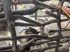 -长鹿旅游休博园