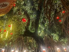 -谢怀亮芝麻茶