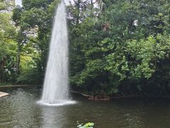 -九龙公园