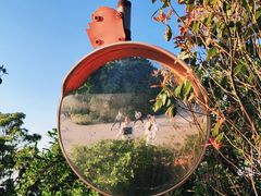 -梧桐山风景名胜区