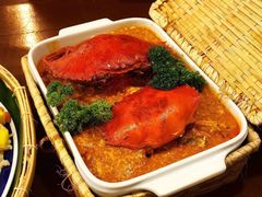 -茉莉.Red Crab