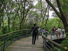 -西湖风景区-江洋畈生态公园