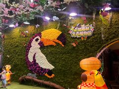 -正佳雨林生态植物园