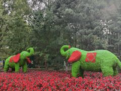 -长白岛森林公园