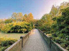 -西溪国家湿地公园