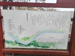 -桃花堤公园