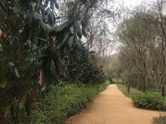 -西湖风景区-江洋畈生态公园