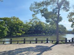 -江心屿景区