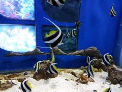 -福州罗源湾海洋世界旅游区