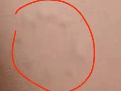 -白兔子密室(长寿路店)