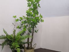-合风谷(南下塘店)