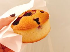 -Madeleine玛德琳(永平里店)