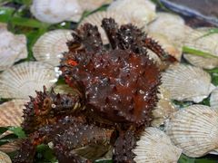 -79号渔船海鲜饭店(华强北店)