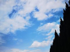 -汉景帝阳陵博物院