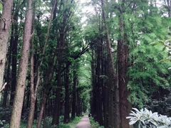 -同里国家湿地公园
