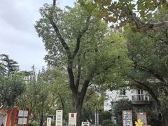 -兰溪青年公园