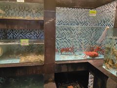 -鹏城人家海鲜酒家·23年老字号(较场尾店)