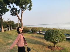 -合肥滨湖国家森林公园