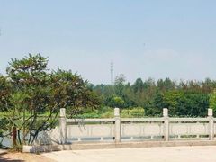 -渡海小渔村.老辈日照菜