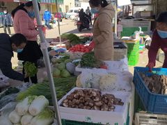 -西北农副产品中心批发市场(广安路店)