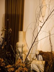 -明典婚礼策划·婚车租赁·婚纱摄影