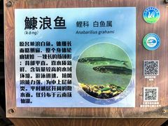 -抚仙湖禄充风景区