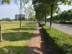 -南京医科大学(江宁校区)