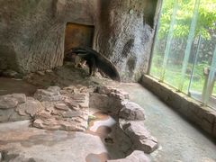 -深圳野生动物园