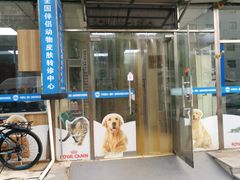 -康乐宝动物医院
