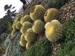 -墨尔本皇家植物园
