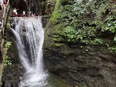 -牛背梁国家森林公园