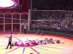 -西安秦岭野生动物园