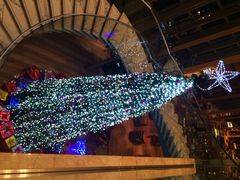 希尔顿视界美食自助餐厅-视界美食自助餐厅·石家庄希尔顿酒店