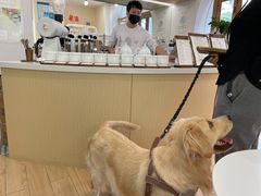 -COMPANION COFFEE小伴咖啡