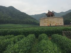 -午潮山国家森林公园