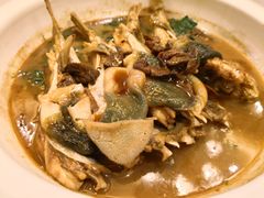 红烧菊黄河豚-鸿运酒楼