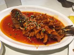 -东北农业大学饺子园