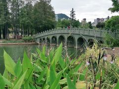 -四海公园(南山区)