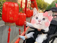 -武汉园博园(武汉自然博物馆)