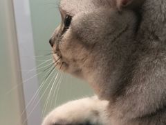 -纳吉亚猫专科动物医院博雅分院