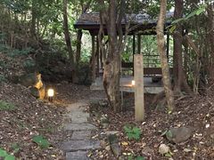 -南紀白浜 浜千鳥の湯 海舟