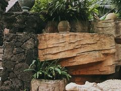 -海口观澜湖火山温泉谷