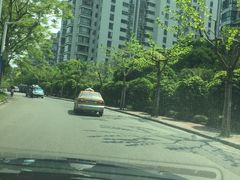 -新湖明珠城