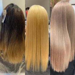 -IP SALON