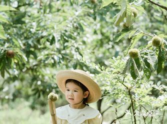南京亲子｜秋天的第一口毛栗子是自己摘的