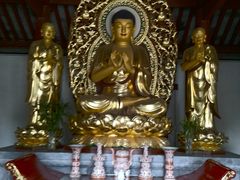 -泰山风景名胜区-普照寺