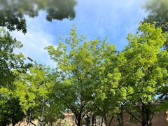 -魏家凉皮(梨园店)