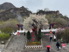 -老爷山风景区