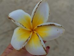-巴拉湾海滩