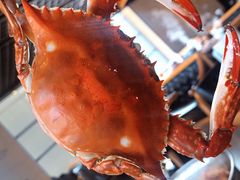 -川骄海鲜自助(王府井奥莱UP TOWN店原世界之花店)